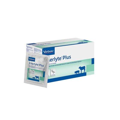 Enerlyte Plus